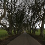 The Dark Hedges