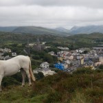 Connemara 4